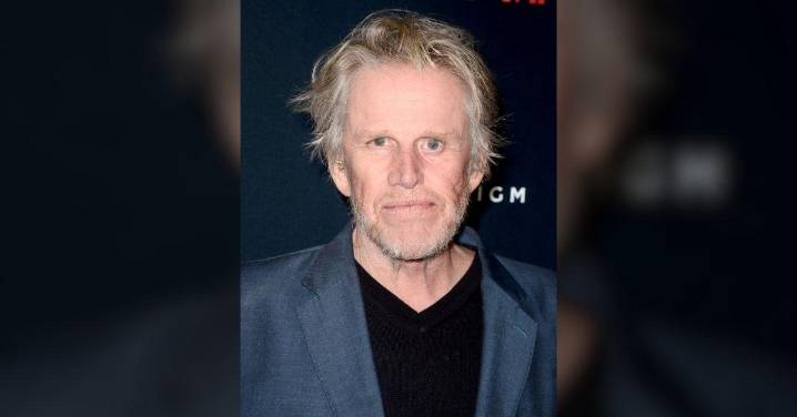 Gary Busey Gets Probation After 2022 Sex Crimes Guilty Plea