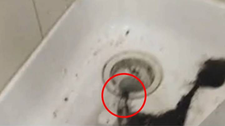 'Is this normal?': Tenant baffled over landlord's $2,800 cleaning request after huge problem discovered in property