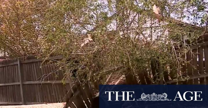 New bureau website suffers backlash