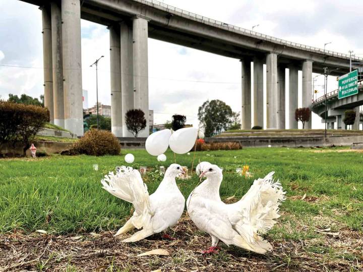 Chofer: 16 horas al volante y sin capacitación; a un mes de la tragedia en La Concordia