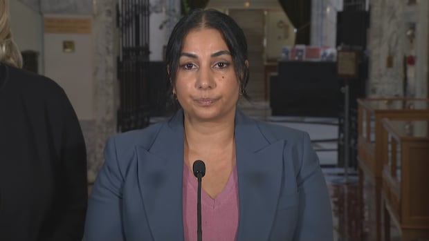 B.C. attorney general calls Ottawa's proposed bail regime changes a public safety victory