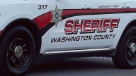 Several dead cats found at Whitehall apartment