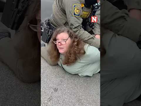 Border Patrol Agents In Chicago Detain WGN