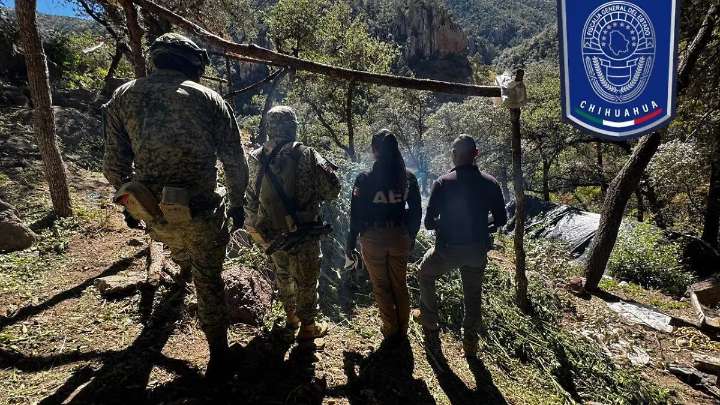 Localizan siete sembradíos de marihuana y tres campamentos en Nuevo Delicias
