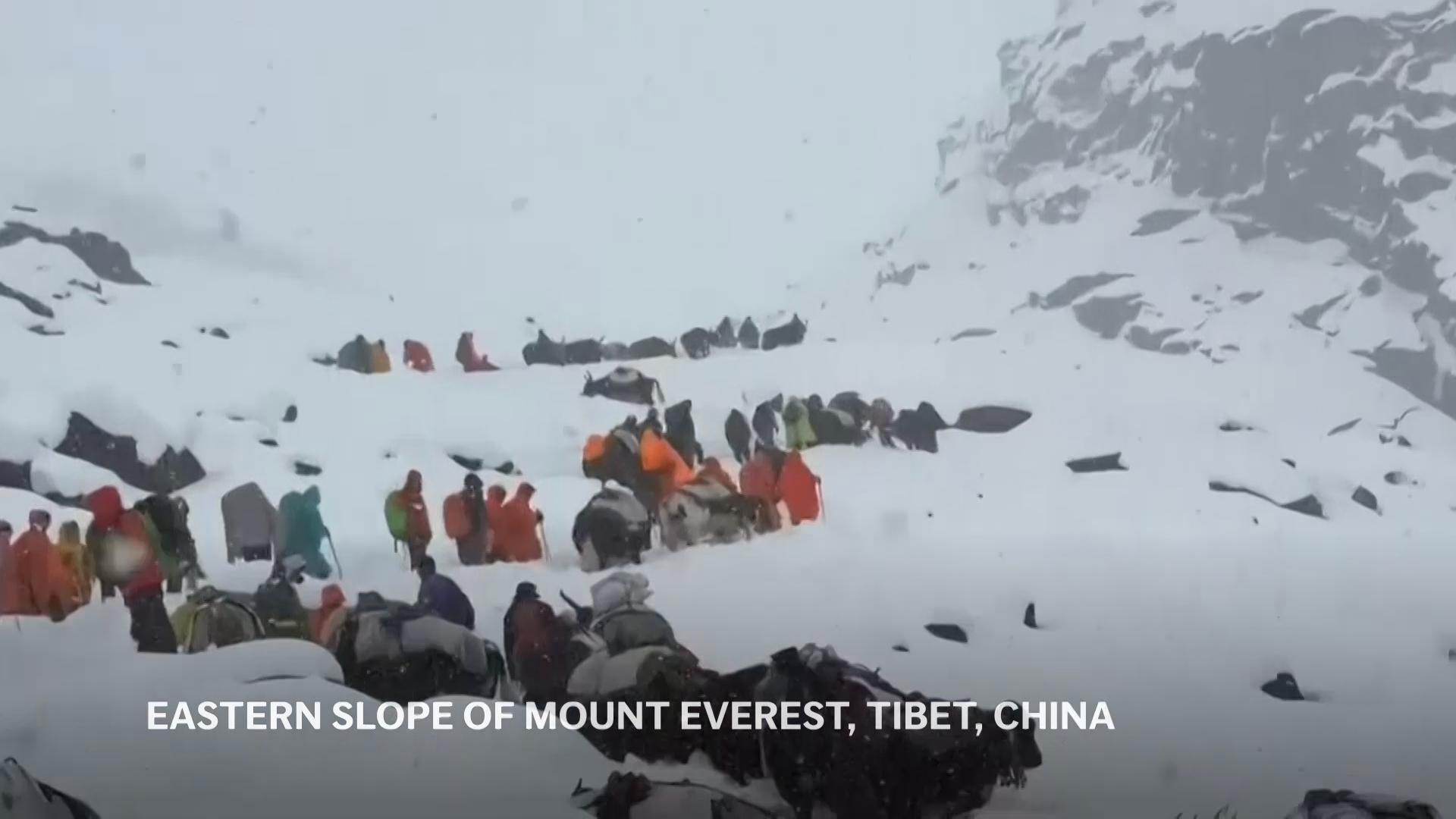 Villagers ascend Mount Everest with horses and oxen to join snowstorm evacuation effort