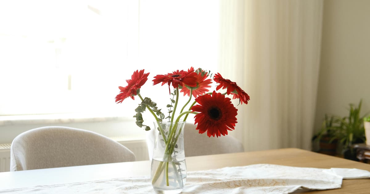 Cómo las flores frescas pueden mejorar tu bienestar diario, prueba nuevo estudio