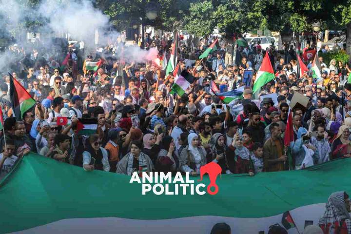 "Nos trataron como animales", activistas deportados de la flotilla para Gaza denuncian violencia