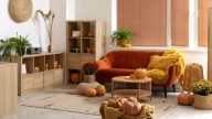What To Do In October To Keep Houseplants Happy All Winter Long