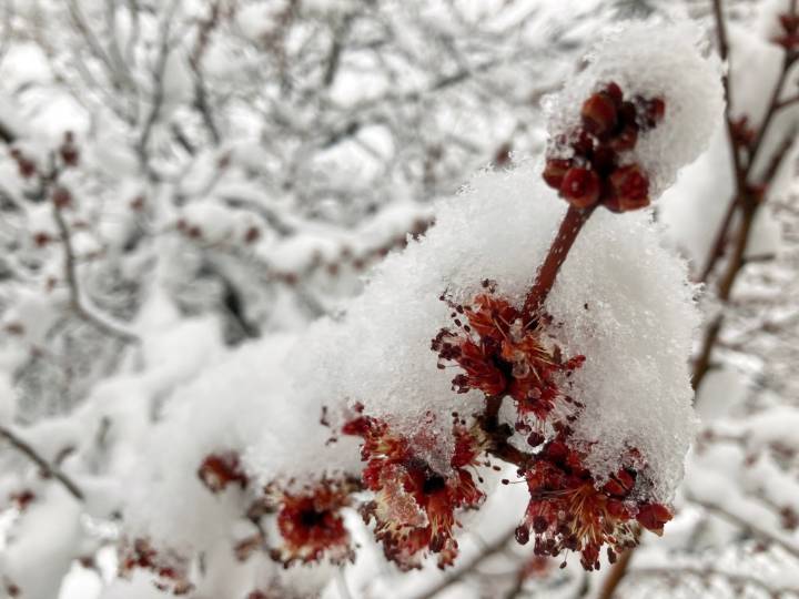 Colorado weather: How cold did it get in Denver overnight?