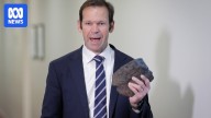 Nationals' net zero review has not undertaken economic modelling