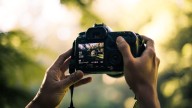 The best DSLR cameras for photography beginners