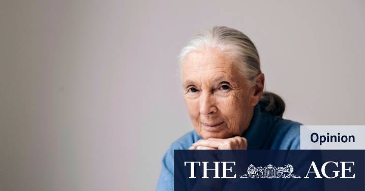 Jane Goodall: She had the energy of a stalking lion