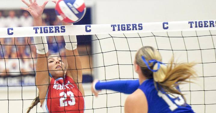 Webb City sweeps Carthage spikers