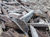 Thousands face plunging subfreezing weather: "Take steps now"