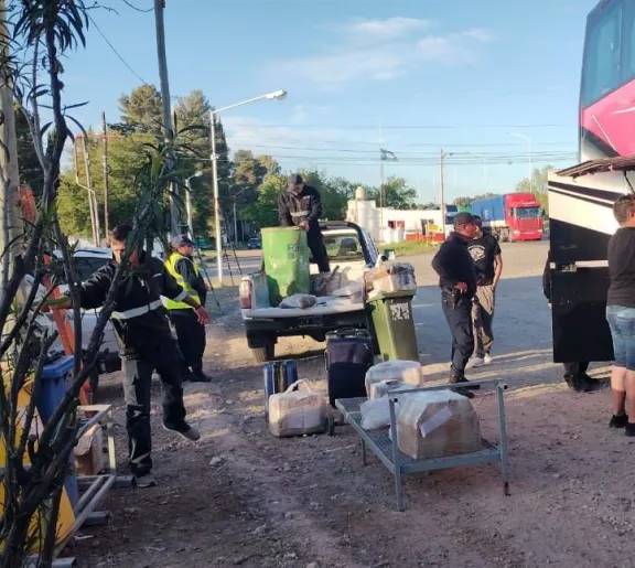 Decomisan 350 kg de pescado transportado sin documentación