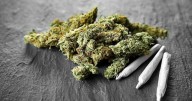 Deaths From Accidents Related To Drug Use Rose 60% In Five Years