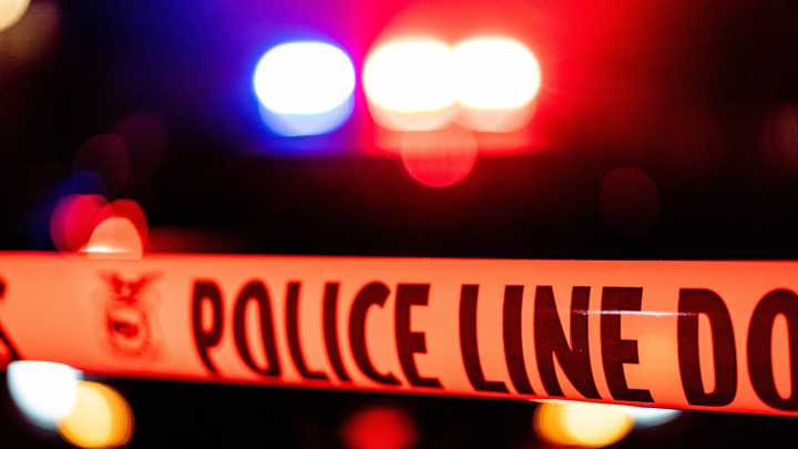 South Georgia dog attack results in 1 child dead, 1 arrested