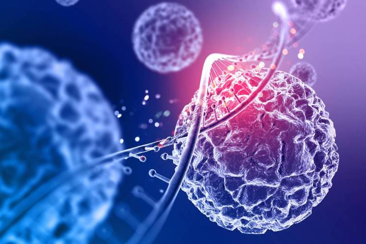Epigenética: la ciencia que te permite encender o apagar tus genes según tu estilo de vida