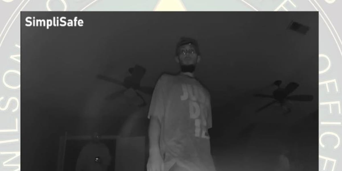 Wilson County detectives working to identify, locate burglary suspects