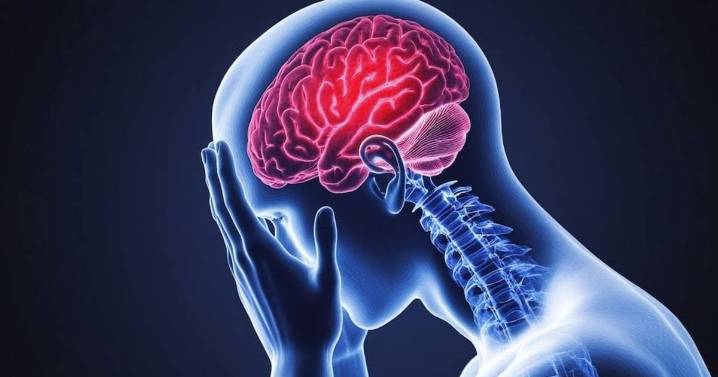 Científicos argentinos identifican biomarcadores en sangre que podrían revolucionar el diagnóstico de la epilepsia