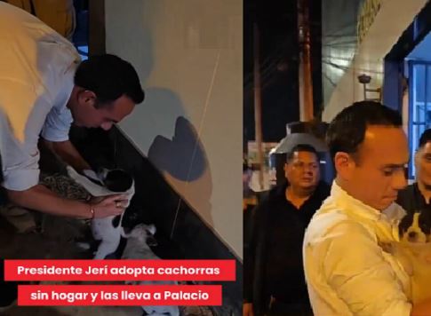 Jerí adoptó perritos y los lleva a Palacio