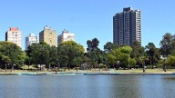 Mortandad de peces en el Parque del Sur: el municipio realizará análisis del agua y apunta a la falta de oxígeno en el lago
