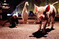 "Imposible".  La idea que obsesionó a Kubrick, tardó años en hacerse realidad y provocó un furioso choque de egos