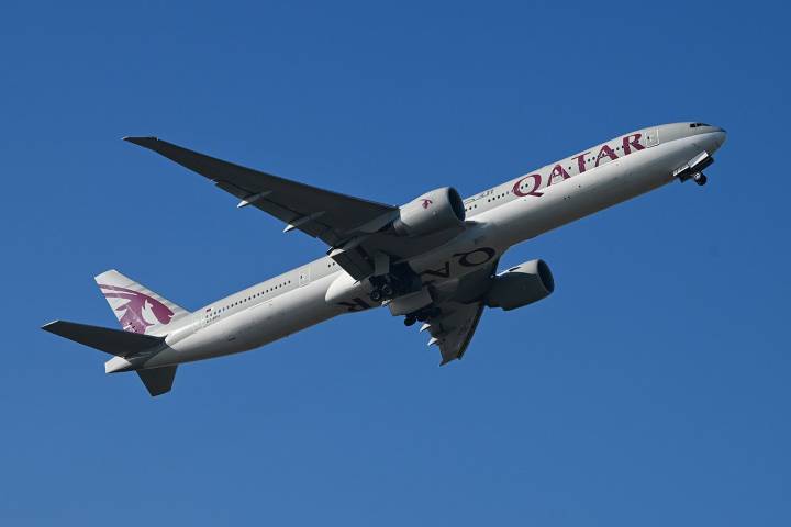 Vegetarian Allegedly Chokes to Death After Being Served Meat on Flight