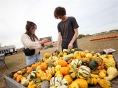 Seasonal pastimes: Drought, late frost keep pumpkins on the vine for fall harvest celebrations