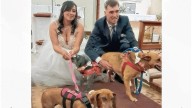 Se casaron con sus tres mascotas en la iglesia