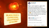 Sirens Blaring At Democratic Headquarters As Black Woman Expresses Unapproved Opinion