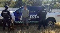 Binomio canino ayudó a la detención de un presunto distribuidor de droga en León