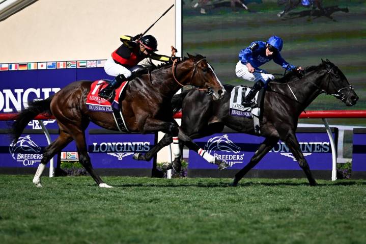 Past champions highlight pre-entries for next week’s Breeders’ Cup at Del Mar