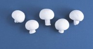 Here's Why Button Mushrooms Are White