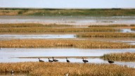 Deadline for Great Salt Lake water projects extended as shutdown creates new hurdle