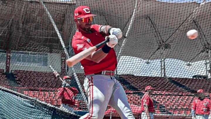 LVBP: Cardenales de Lara se alista para sus primeros encuentros de pretemporada