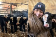 Farmer Goes To Check on Animals, Discovers '1-in