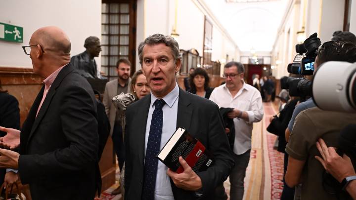Operación Caravaggio: ¿qué lee Feijóo en el Congreso?