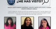 Pesquisa de Paola Lizeth Manso Martínez, Violeta Maite Soto Soto y Karla Janeth Mireles Varela