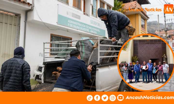 Serfor transfiere más de 1,300 kg de palo santo a la Parroquia San Antonio de Padua de Huaraz
