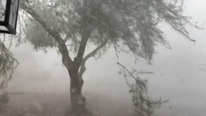 Trending Now Weather Videos