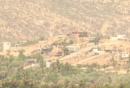 Baja California Sur se recupera de la sequía; lluvias alivian al sector ganadero