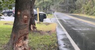 Neighbors double down on push for speed measures after deadly crash kills two teens