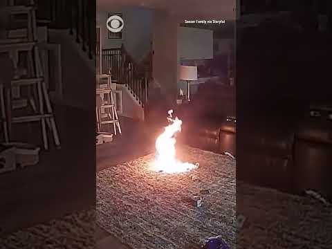 Fire chief's dog accidentally ignites fire after getting hold of lithium