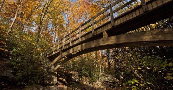 Peak leaf season coming soon to mountains in Boone NC area