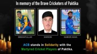 Agency News Afghanistan Cricket Board Mourns Loss of Three Cricketers in Airstrikes, Withdraws From Upcoming T20I Tri