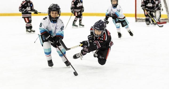 New hockey program ‘distinctly different’