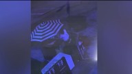 Surveillance video shows shooting in Miami that killed community activist