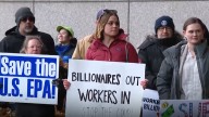 'Devastating': Healey slams federal job cuts as shutdown hits day 10