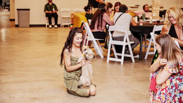 Golden Bark Foundation gives senior dogs a second chance